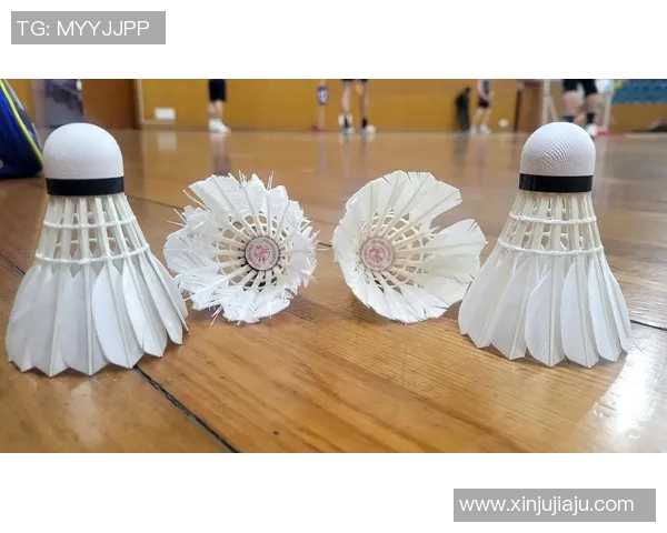 重庆羽毛球队防守策略揭秘深入分析羽毛球技术与战术的完美结合